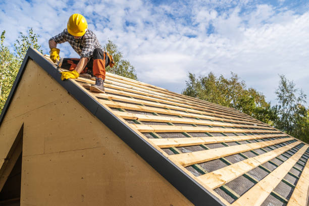 Roof Gutter Cleaning in Glenwood, IA